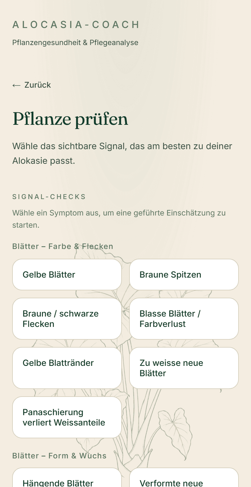 Wähle, was du siehst