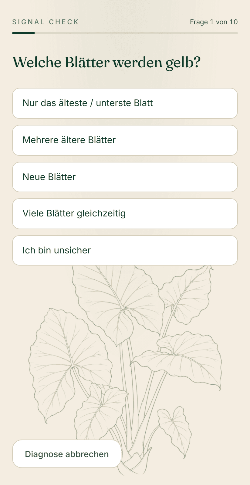 Gezielte Fragen, klare Diagnose